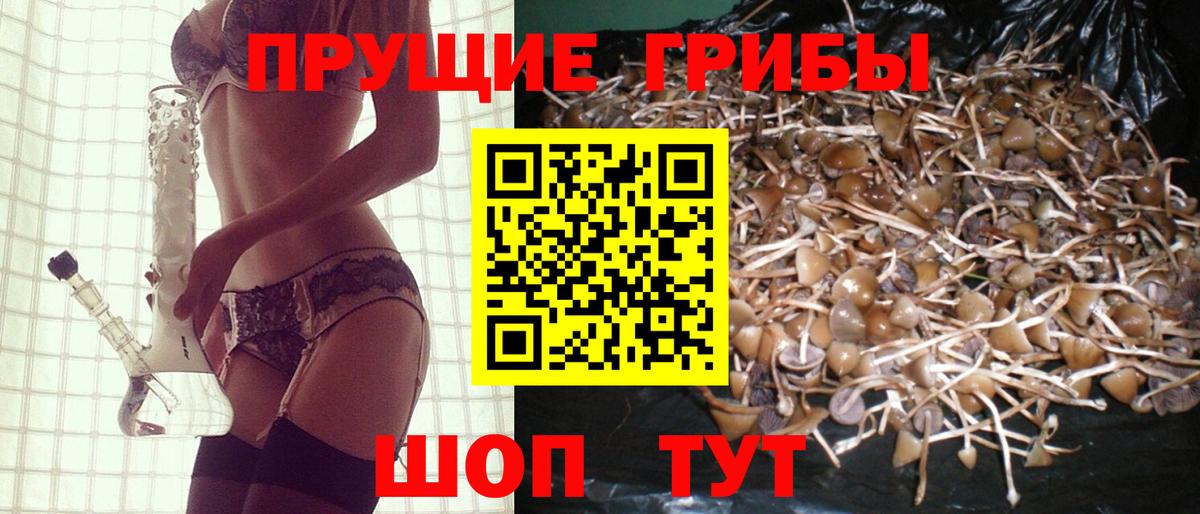 Сарапул  Галлюциногенные грибы Magic Shrooms  как найти закладки  Вход с VPN 